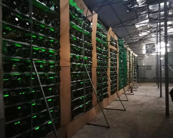 网站开发
